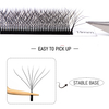 W Shape Prodlužov&aacute;n&iacute; řas 7D Premade Fans Lashes Extensions