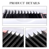 BEFER W 6D Shaped Premade Fans Eyelash Extensions