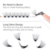 D Krul Wimpers Extensions Premade Fans Wimper Extensions